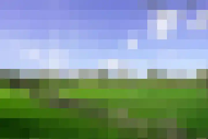 Terzieterweg 20 Epen thumbnail 46