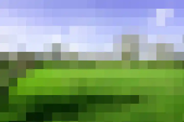 Terzieterweg 20 Epen thumbnail 5