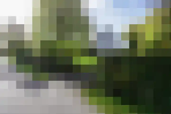 Terzieterweg 20 Epen thumbnail 51