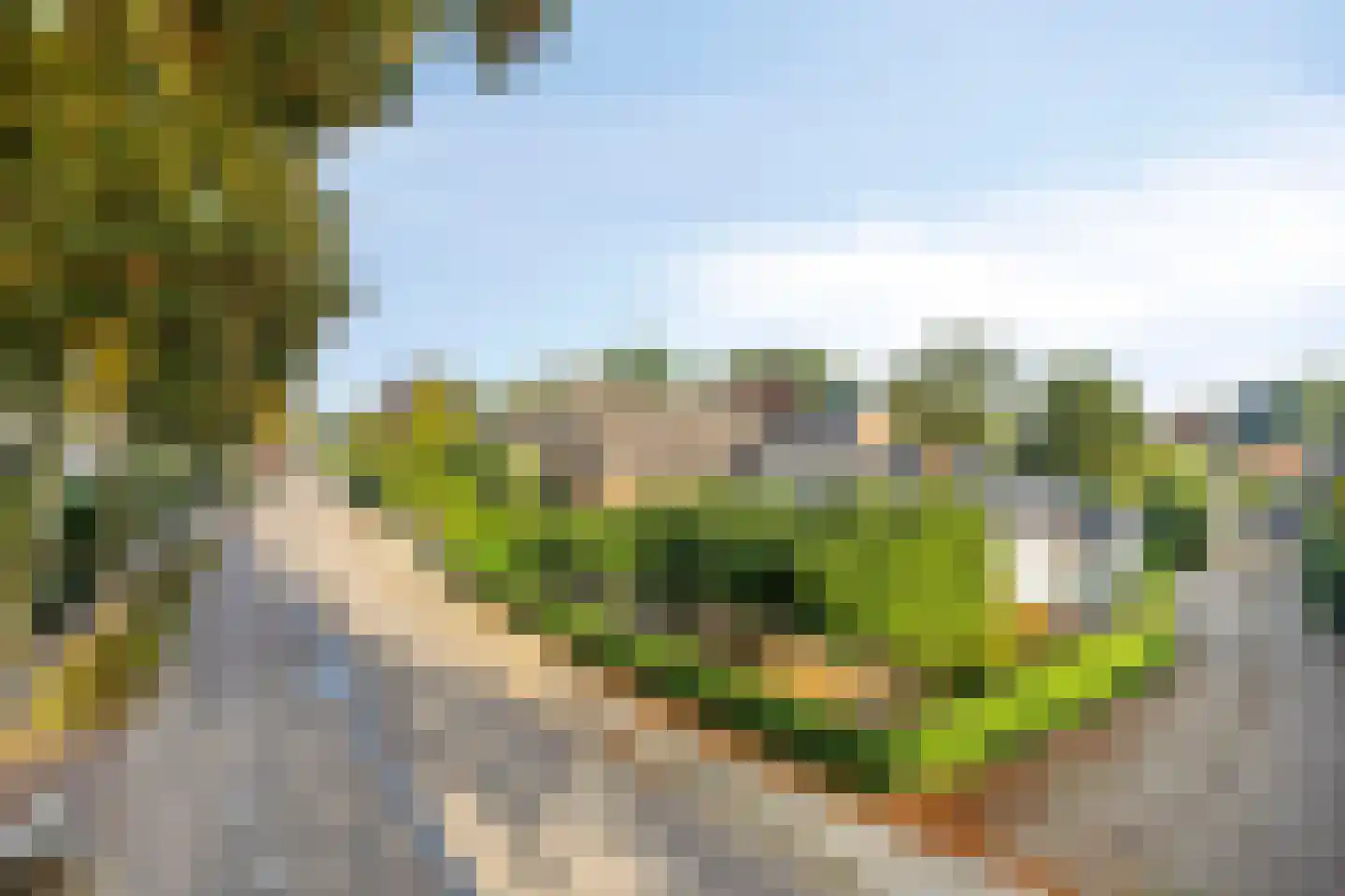 Teselaar 32 a Bemmel thumbnail 12