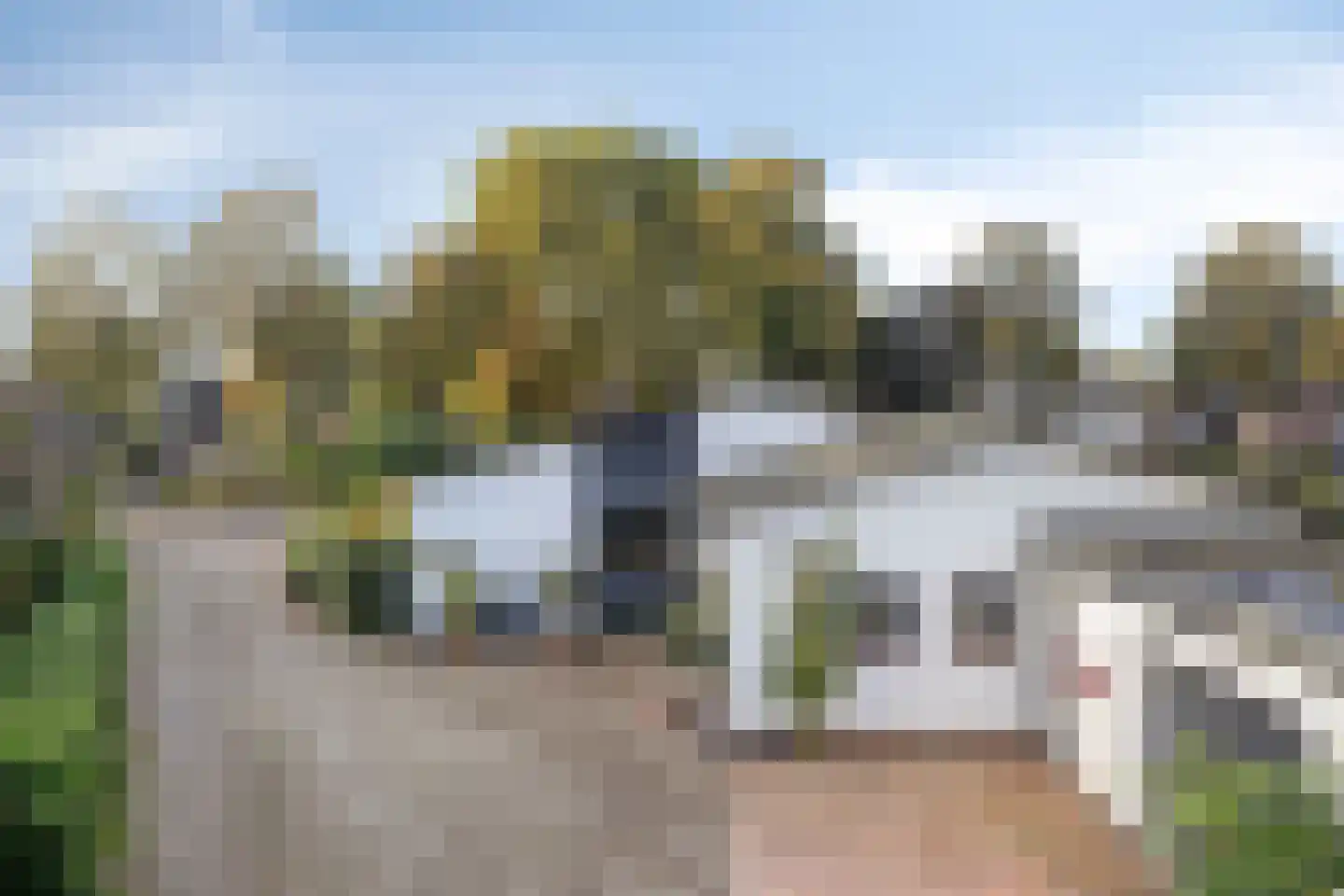 Teselaar 32 a Bemmel thumbnail 15