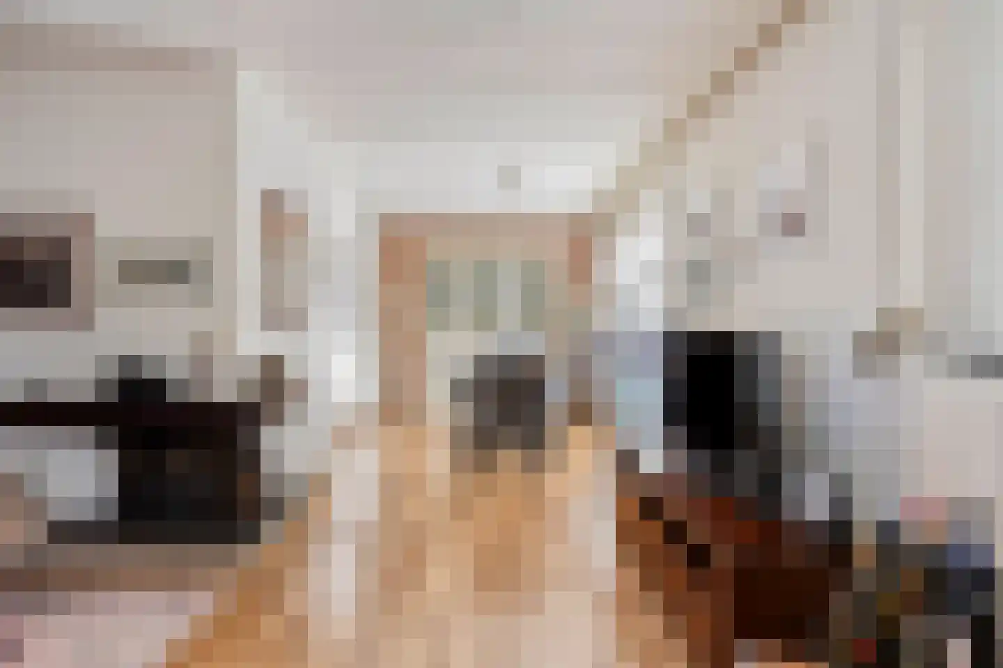 Teselaar 32 a Bemmel thumbnail 25