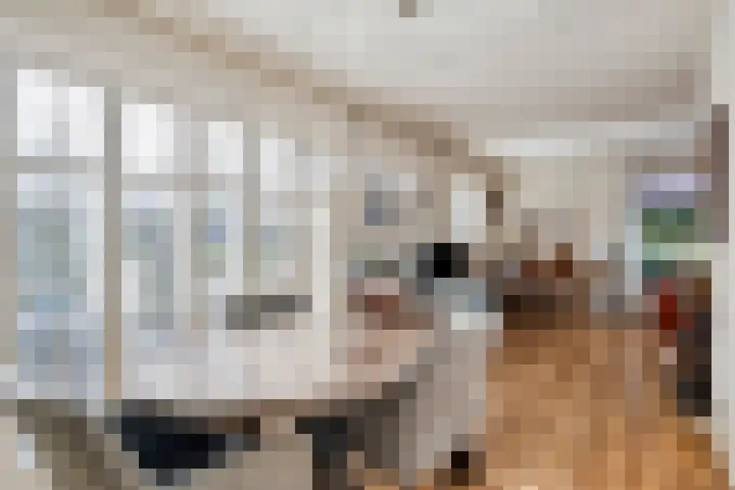 Teselaar 32 a Bemmel thumbnail 27