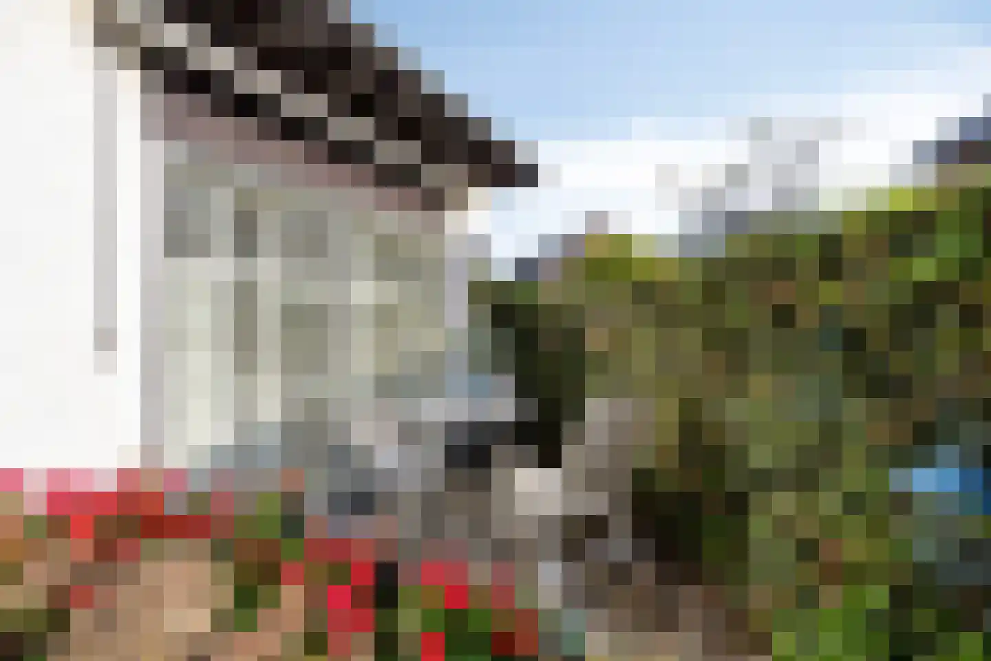 Teselaar 32 a Bemmel thumbnail 28