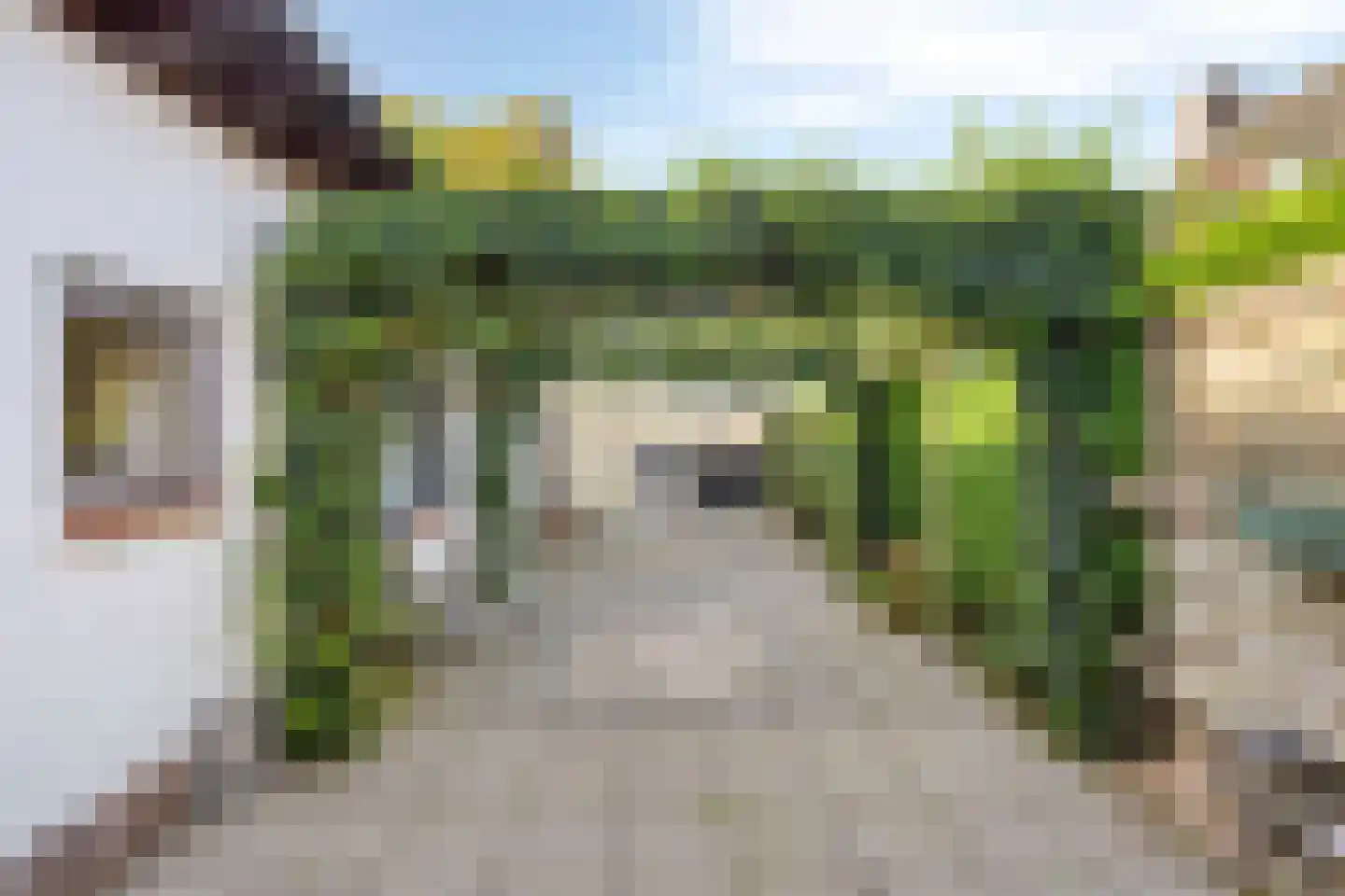 Teselaar 32 a Bemmel thumbnail 46