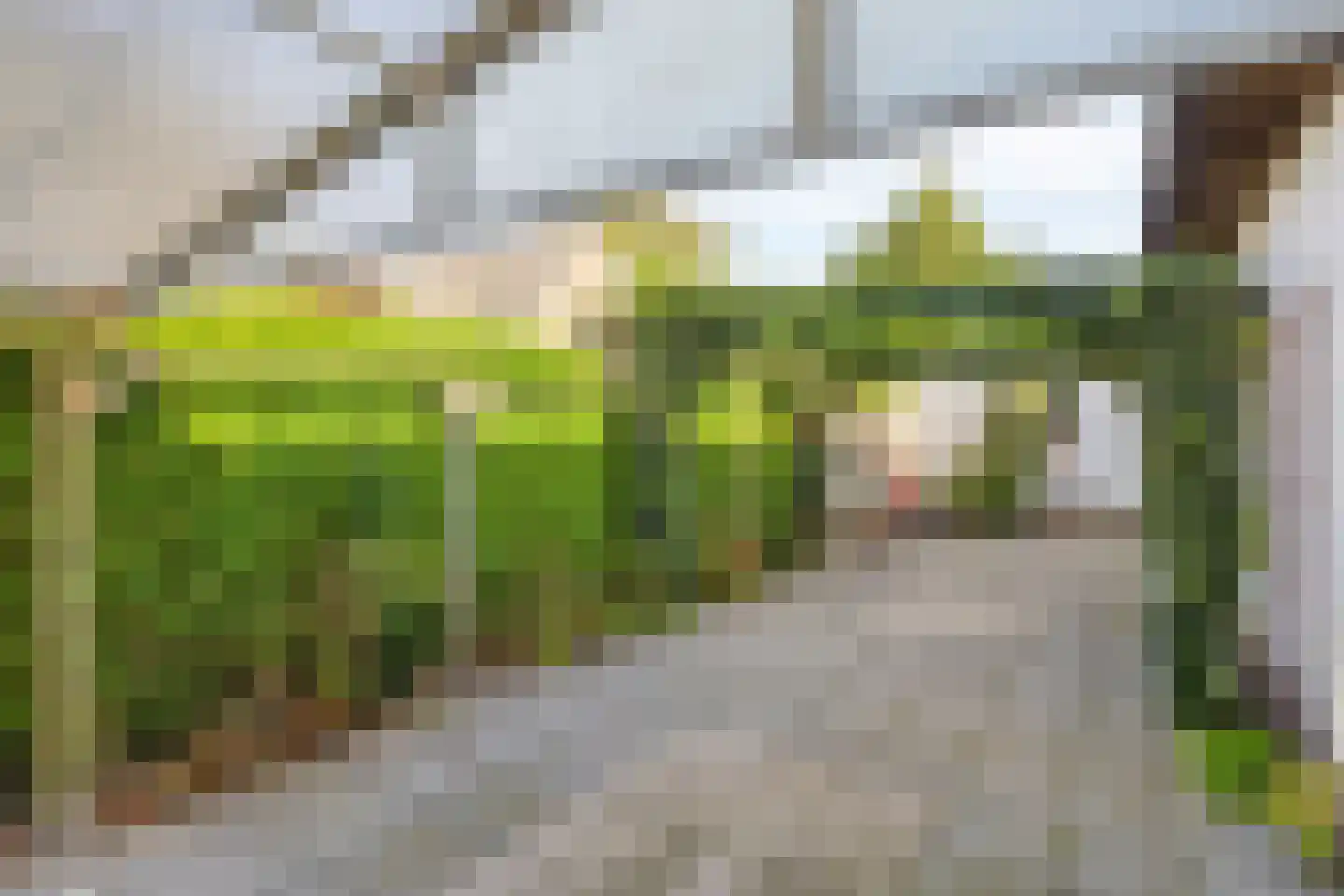 Teselaar 32 a Bemmel thumbnail 47
