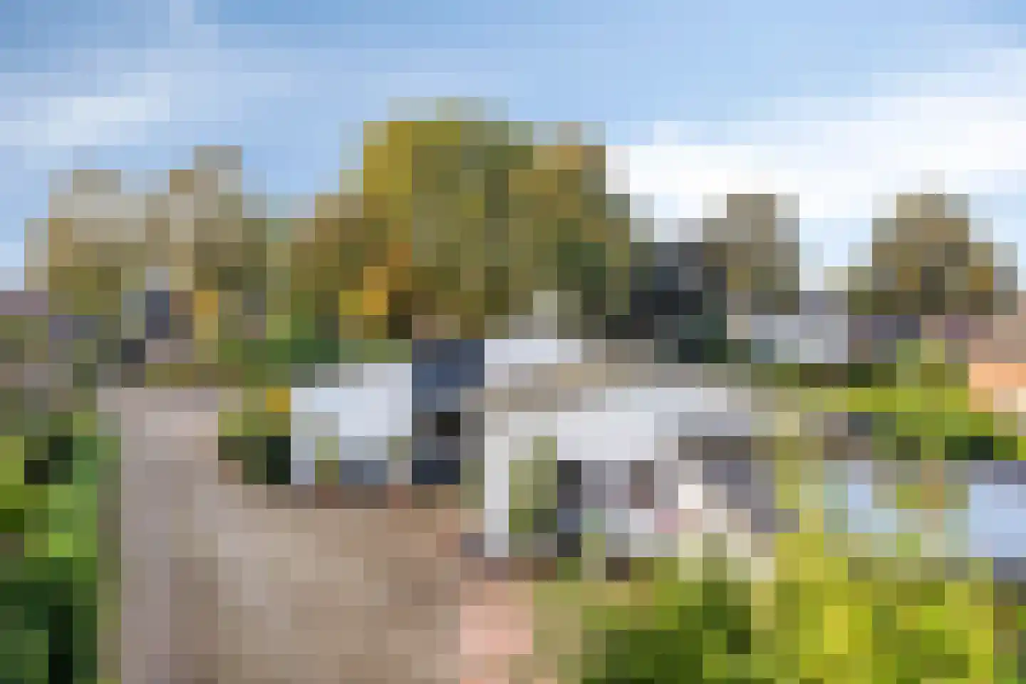 Teselaar 32 a Bemmel thumbnail 8