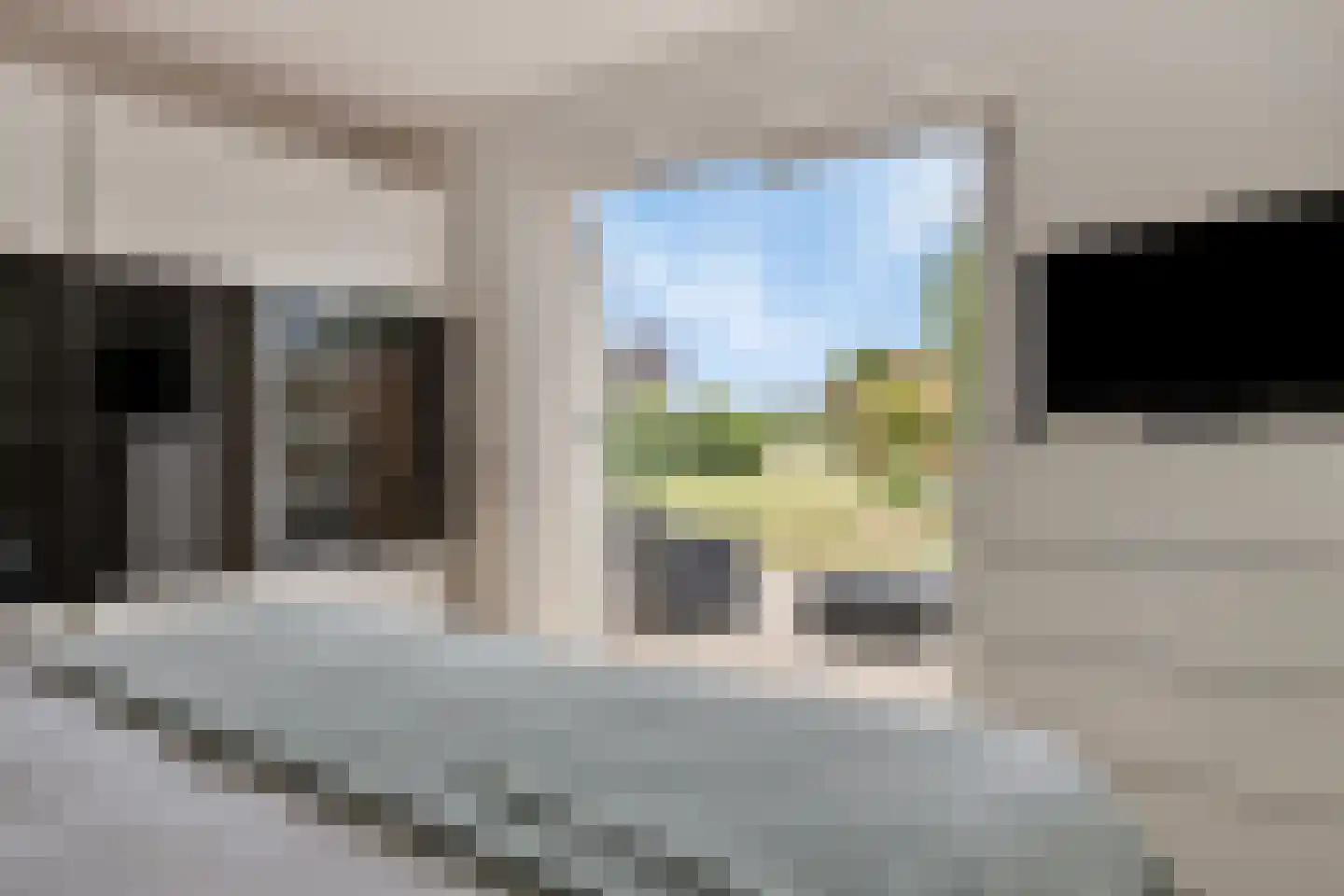 Teselaar 77 a Bemmel thumbnail 22