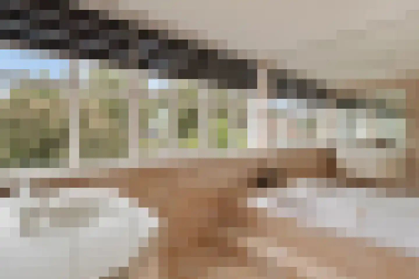 Teselaar 77 a Bemmel thumbnail 33