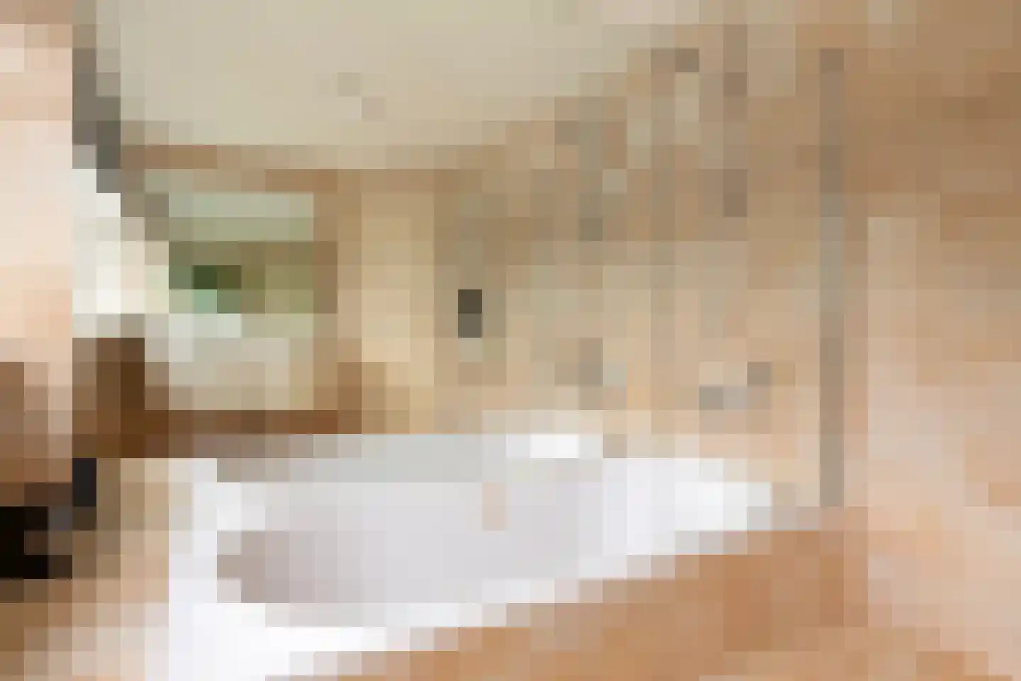 Teselaar 77 a Bemmel thumbnail 34