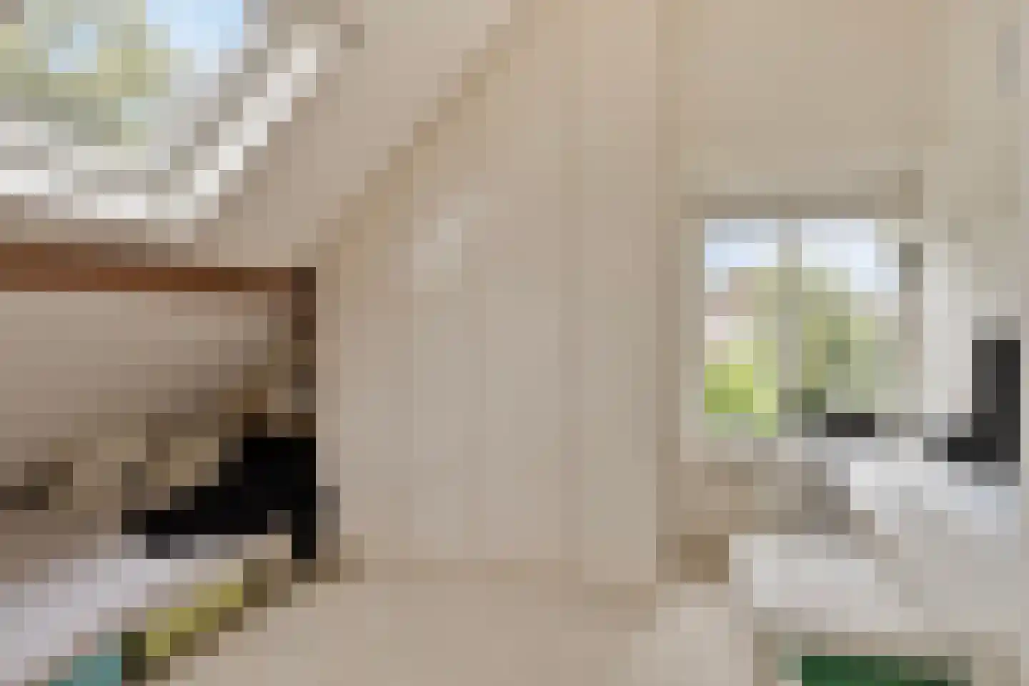 Teselaar 77 a Bemmel thumbnail 35