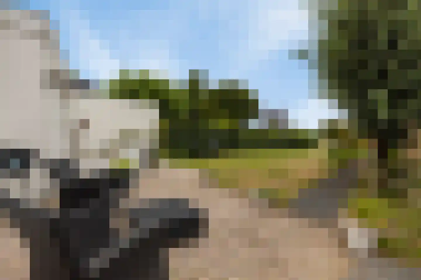 Teselaar 77 a Bemmel thumbnail 36