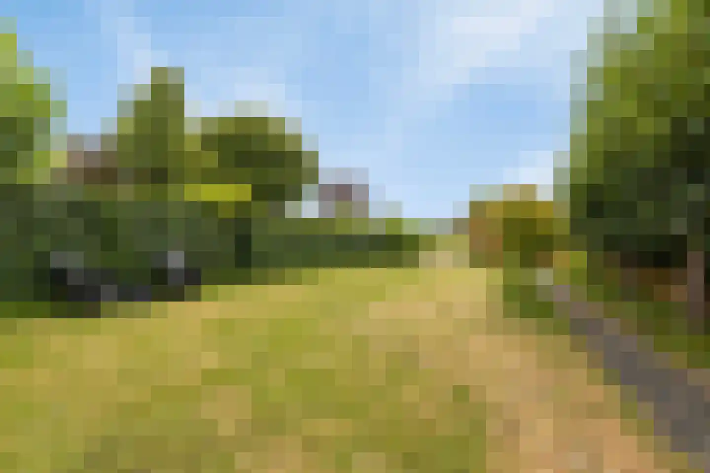 Teselaar 77 a Bemmel thumbnail 37