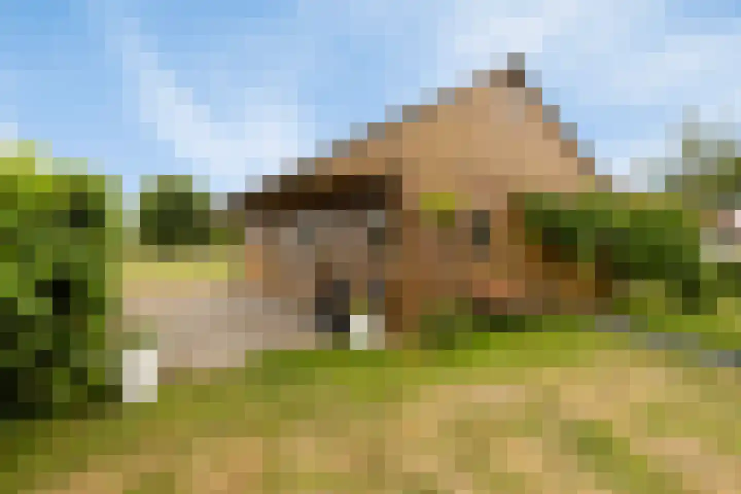 Teselaar 77 a Bemmel thumbnail 38