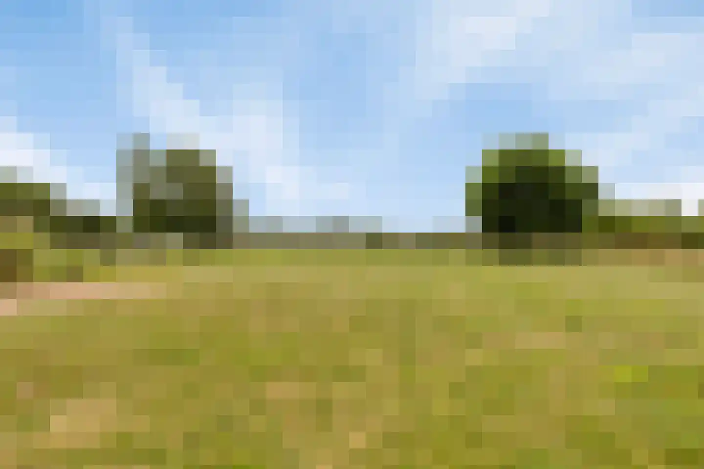 Teselaar 77 a Bemmel thumbnail 39