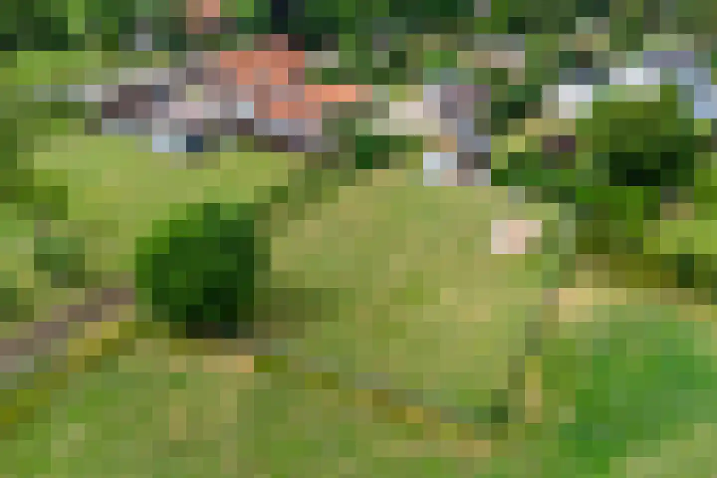 Teselaar 77 a Bemmel thumbnail 4