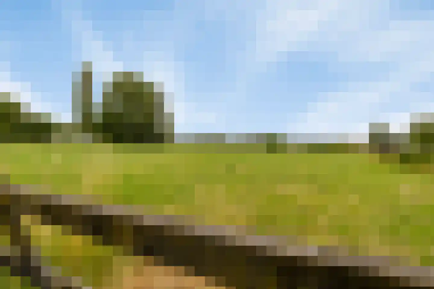 Teselaar 77 a Bemmel thumbnail 40