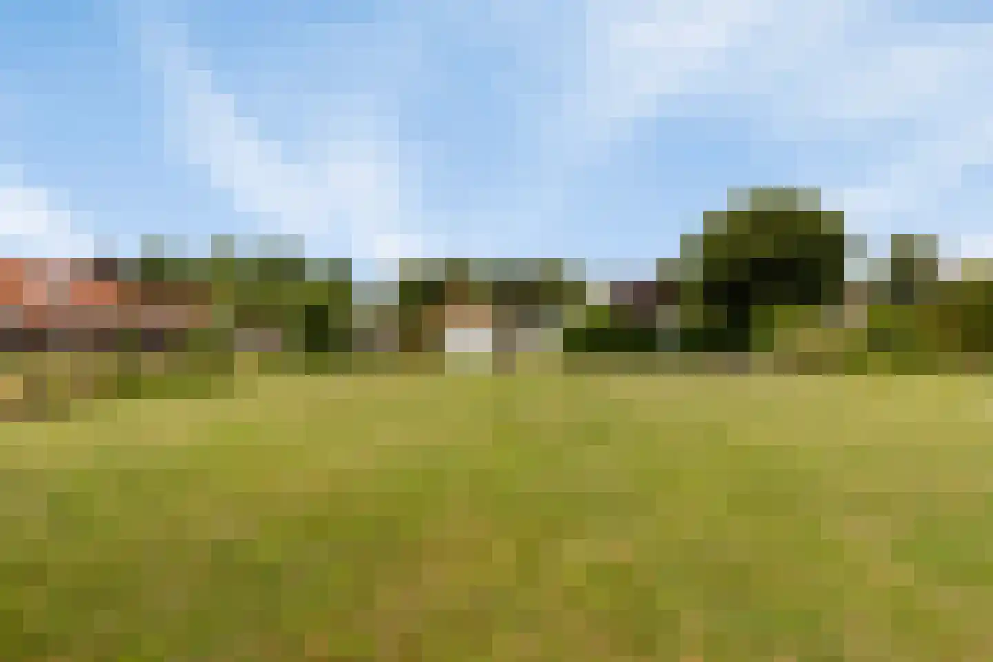 Teselaar 77 a Bemmel thumbnail 41