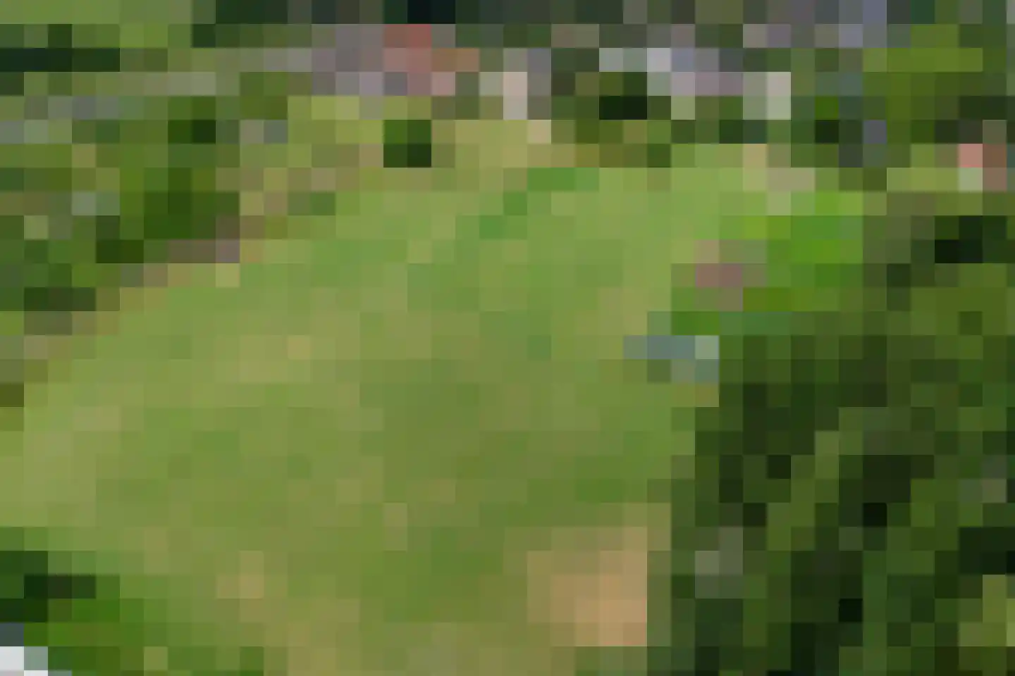 Teselaar 77 a Bemmel thumbnail 48