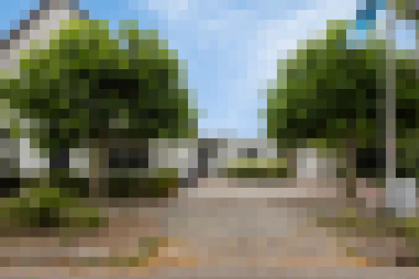 Teselaar 77 a Bemmel thumbnail 5