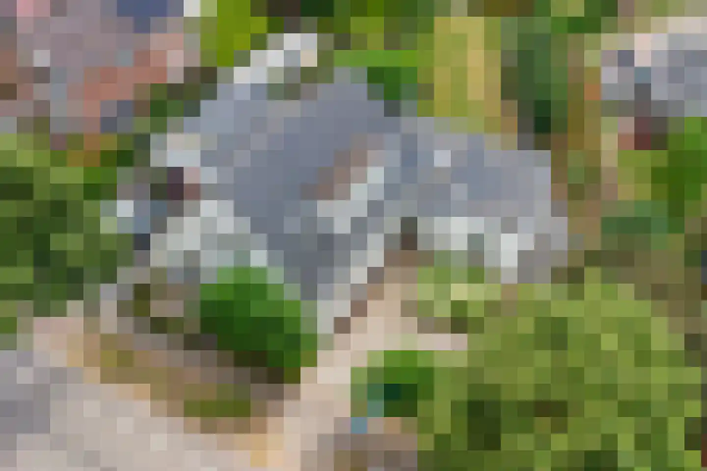 Teselaar 77 a Bemmel thumbnail 6