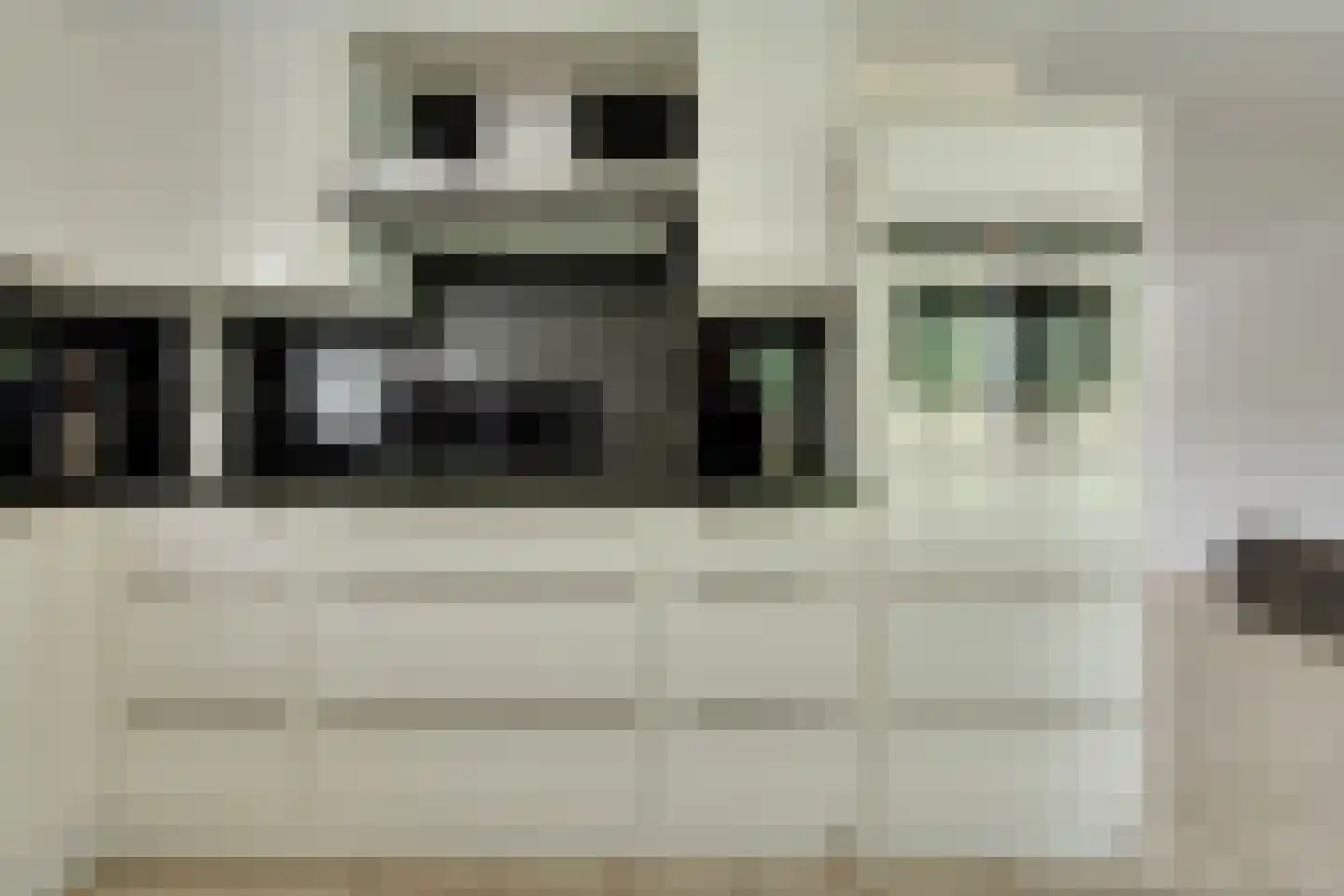 Tesingehof 16 Assen thumbnail 11