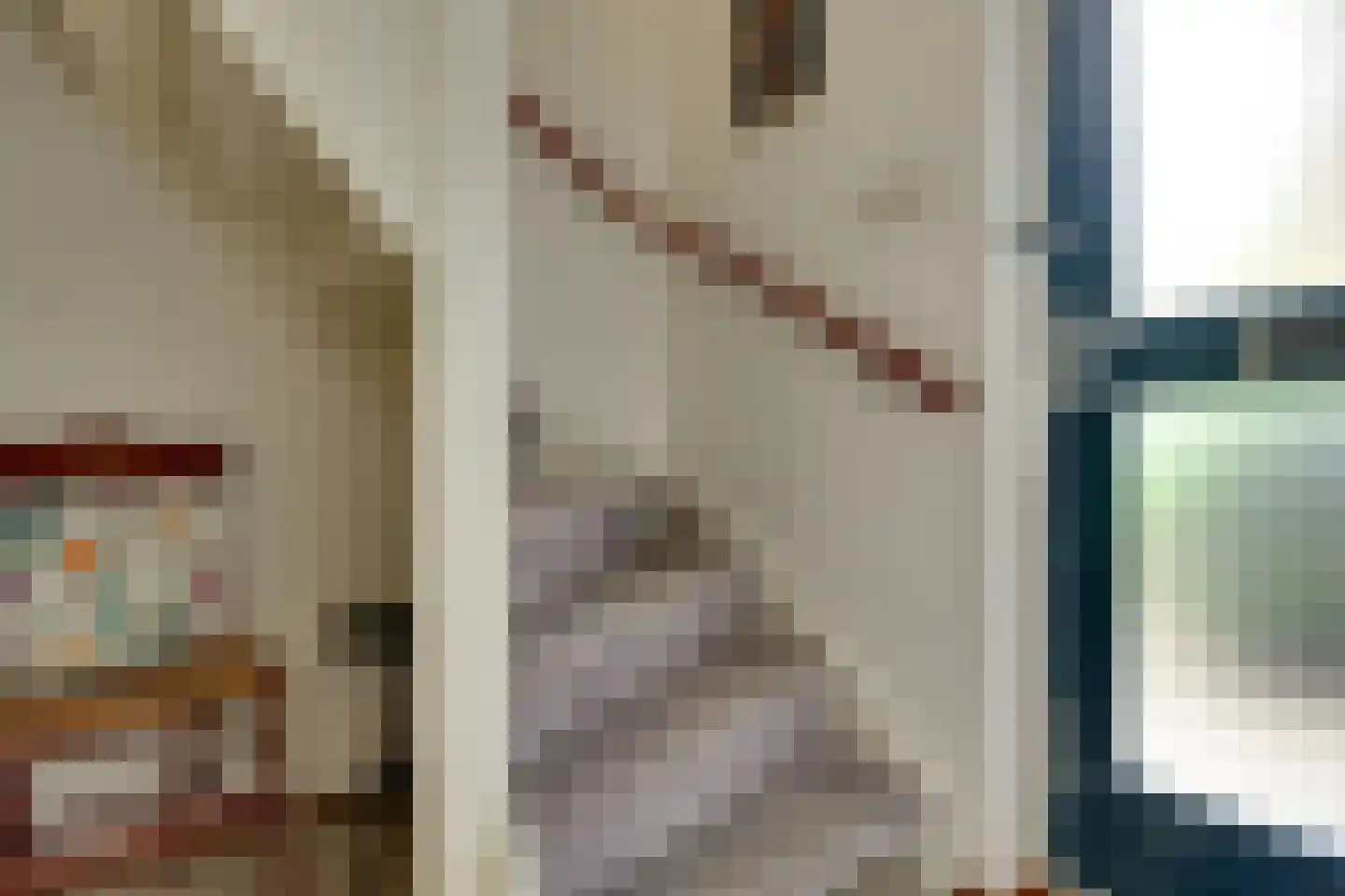 Tesingehof 16 Assen thumbnail 13