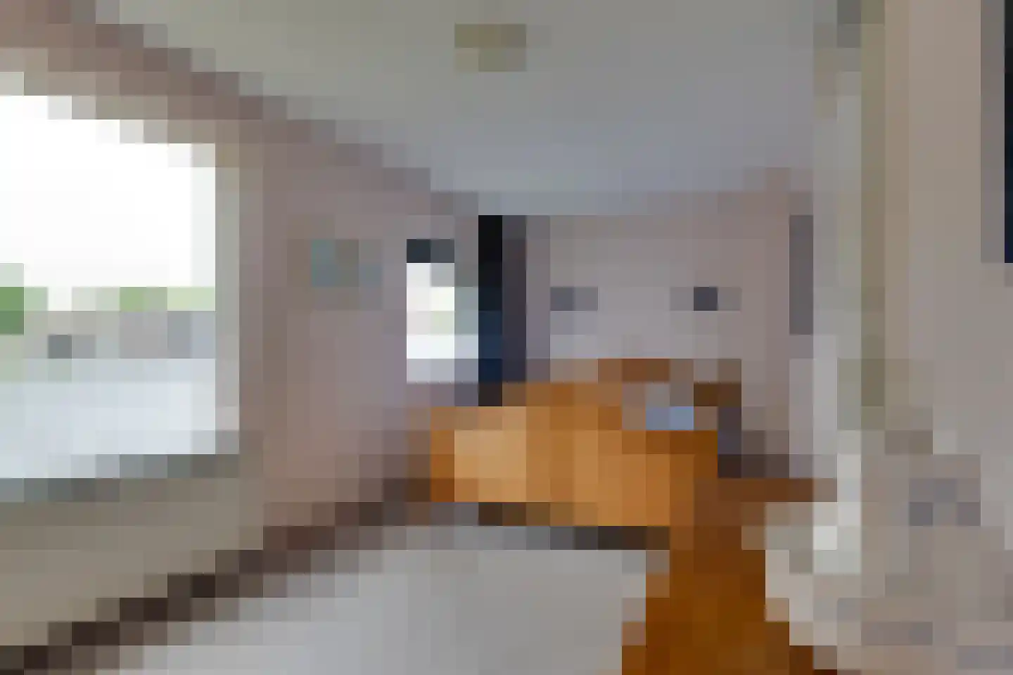 Tesingehof 16 Assen thumbnail 14