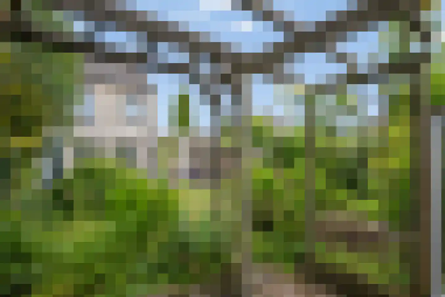 Tesingehof 16 Assen thumbnail 26