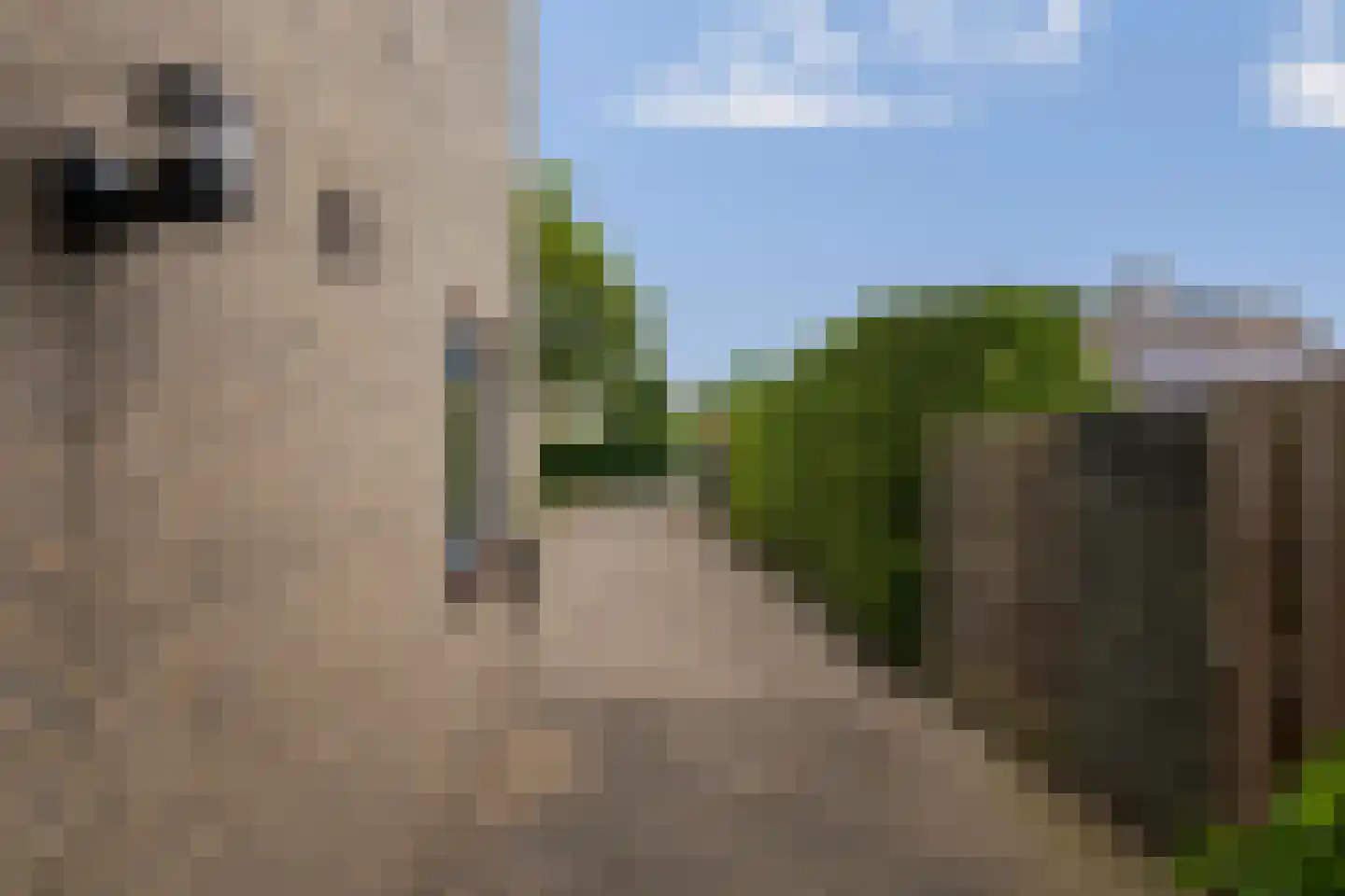Tesingehof 16 Assen thumbnail 27