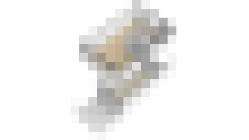 Tesingehof 16 Assen thumbnail 30