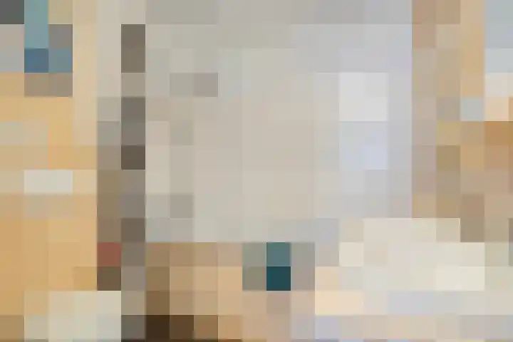 Tesjeslaan 16 Zwolle thumbnail 14