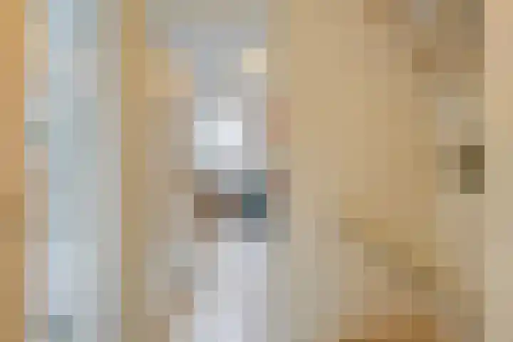 Tesjeslaan 16 Zwolle thumbnail 16