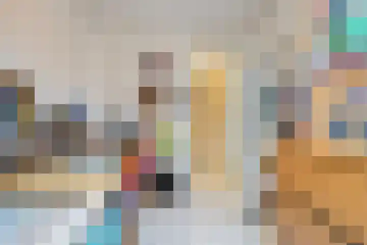 Tesjeslaan 16 Zwolle thumbnail 19