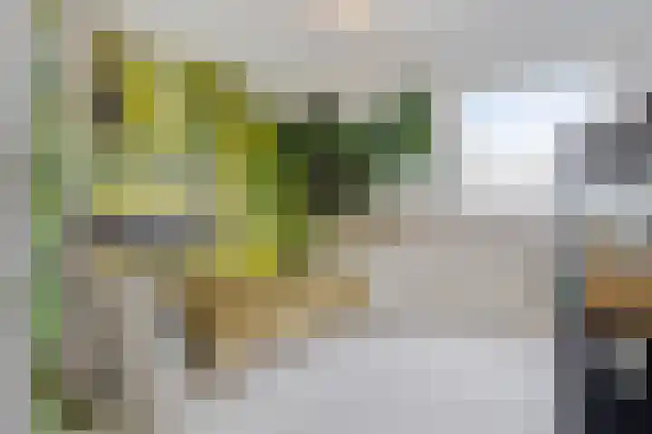Tesjeslaan 16 Zwolle thumbnail 20