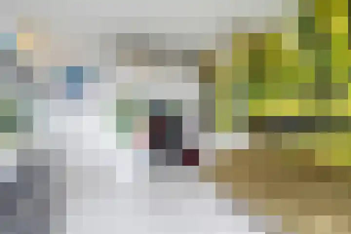 Tesjeslaan 16 Zwolle thumbnail 21