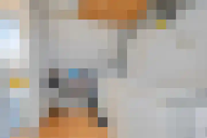 Tesjeslaan 16 Zwolle thumbnail 22