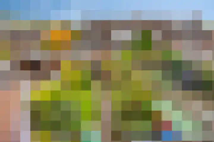Tesjeslaan 16 Zwolle thumbnail 25