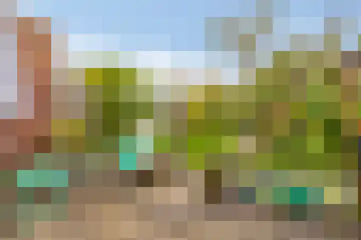 Tesjeslaan 16 Zwolle thumbnail 26