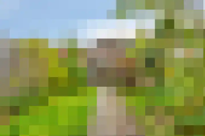 Tesjeslaan 16 Zwolle thumbnail 28