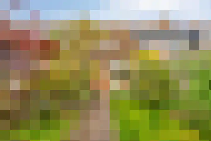 Tesjeslaan 16 Zwolle thumbnail 29