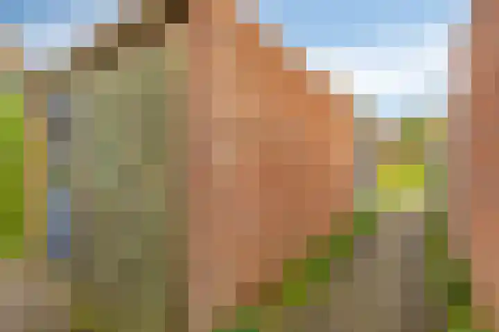 Tesjeslaan 16 Zwolle thumbnail 30