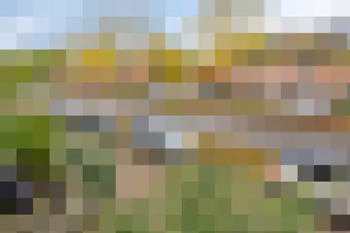 Tesjeslaan 16 Zwolle thumbnail 38