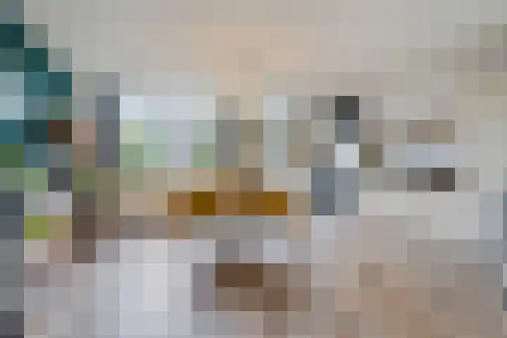 Tesjeslaan 16 Zwolle thumbnail 5