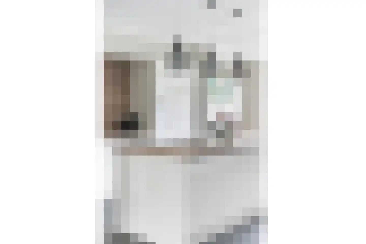 Tesjeslaan 18 Zwolle thumbnail 13