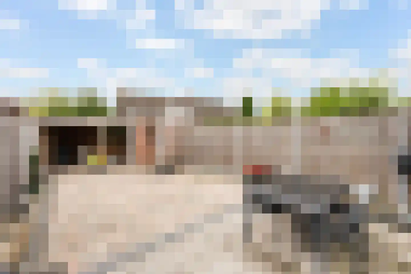 Tesjeslaan 18 Zwolle thumbnail 15