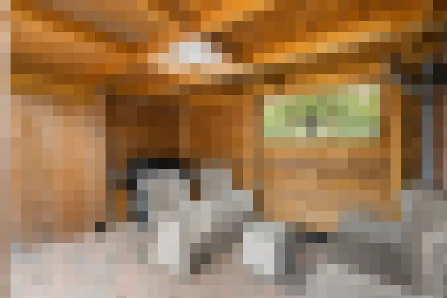 Tesjeslaan 18 Zwolle thumbnail 17