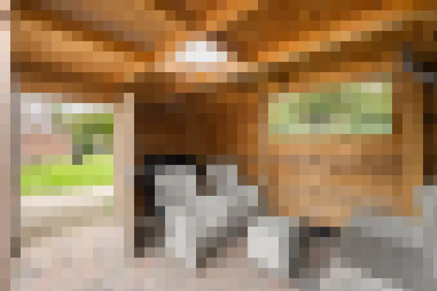 Tesjeslaan 18 Zwolle thumbnail 18
