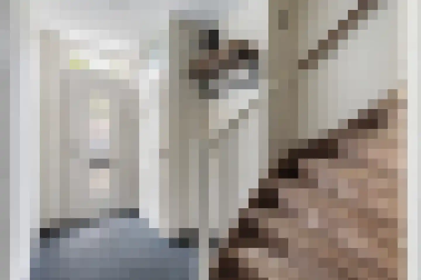 Tesjeslaan 18 Zwolle thumbnail 19