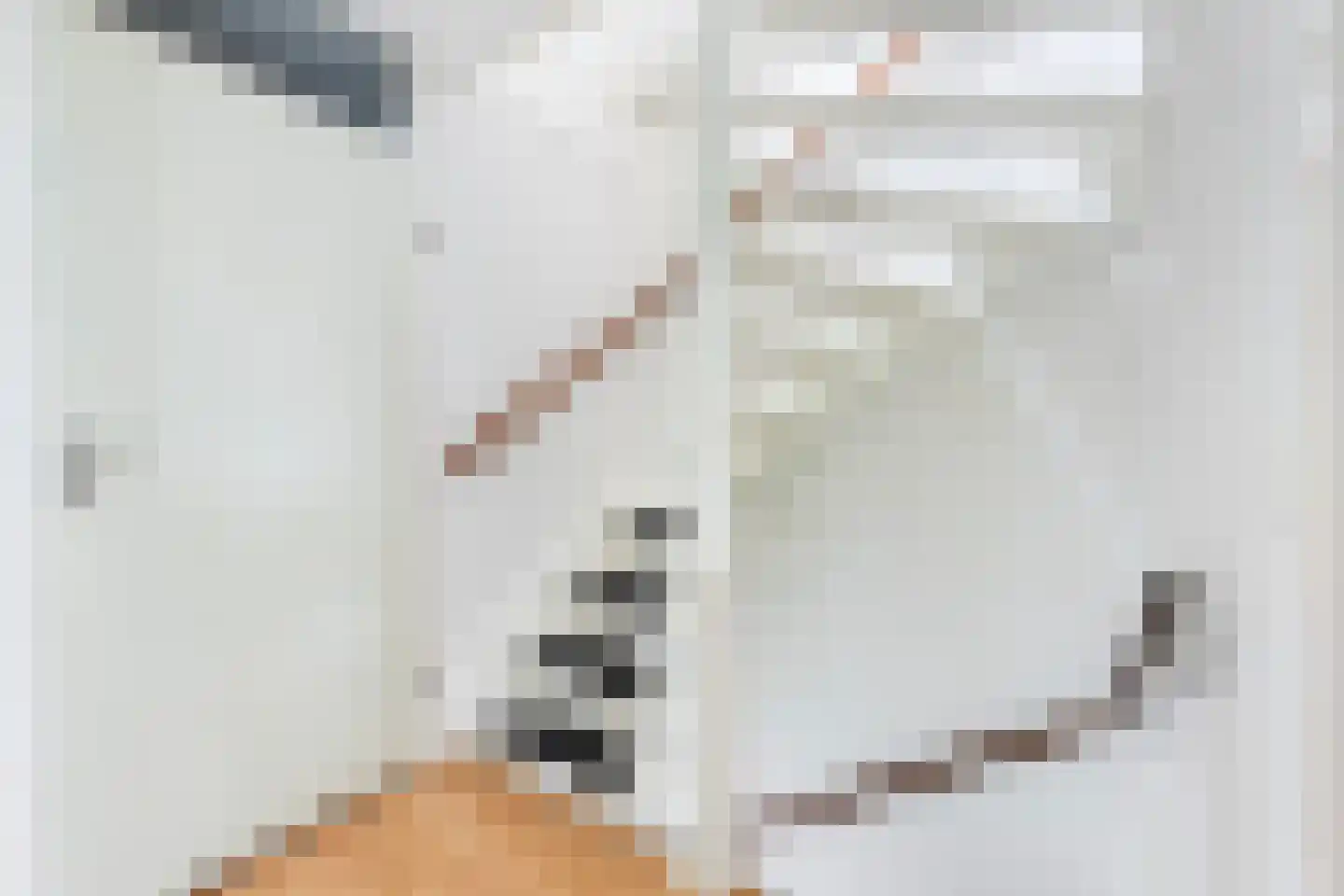 Tesjeslaan 18 Zwolle thumbnail 21